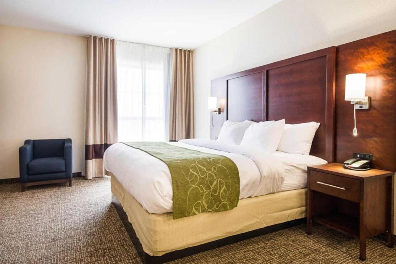 Comfort Suites Greenville South Piedmont Ngoại thất bức ảnh