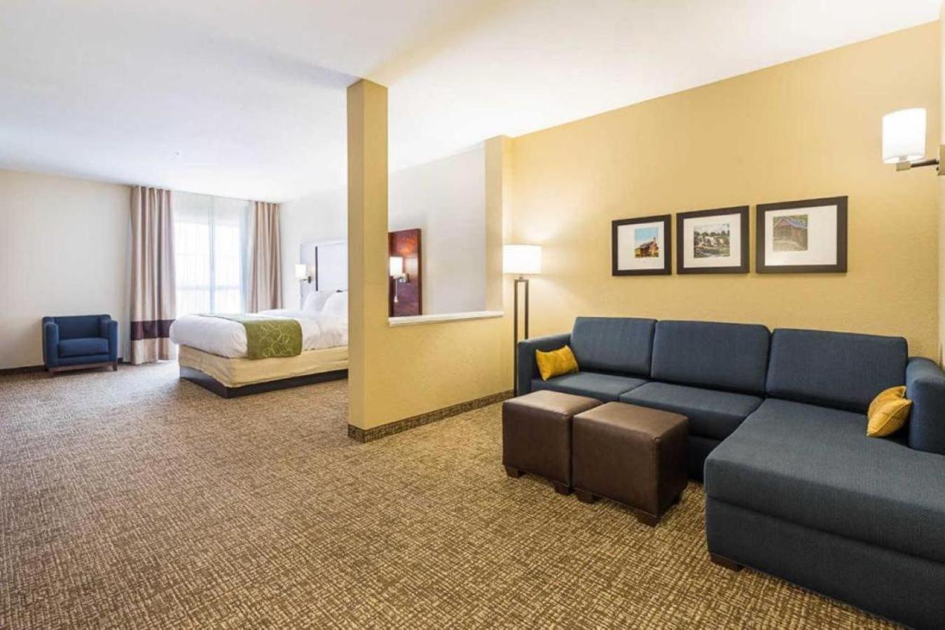 Comfort Suites Greenville South Piedmont Ngoại thất bức ảnh